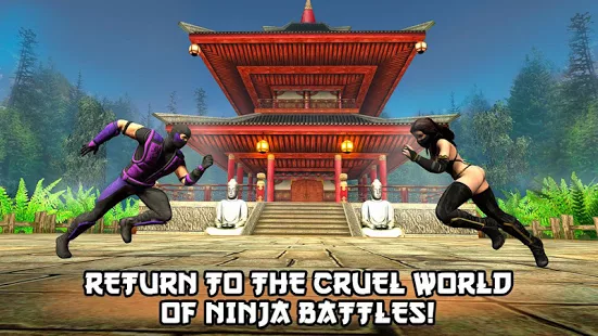 Ninja Kung Fu Fighting 3D – 2